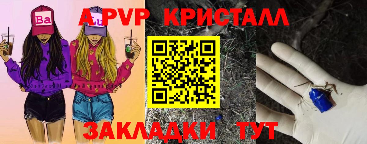 А ПВП крисы CK Нефтекумск