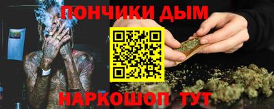 шишки Ставрополь