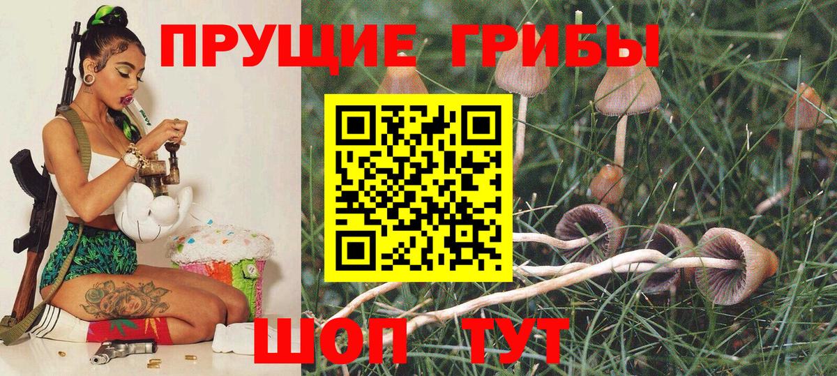Псилоцибиновые грибы GOLDEN TEACHER  Вход с VPN  Нефтекумск 